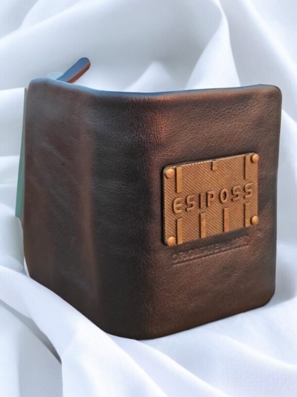 chocolate esiposs Money bag (Cm)